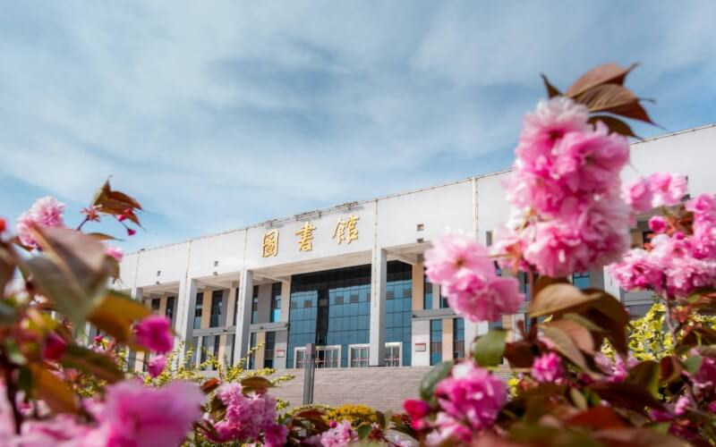 图书馆