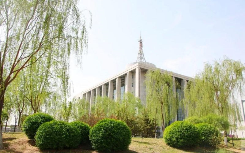 学院绿化