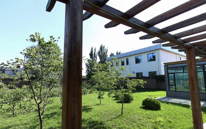 学院绿化