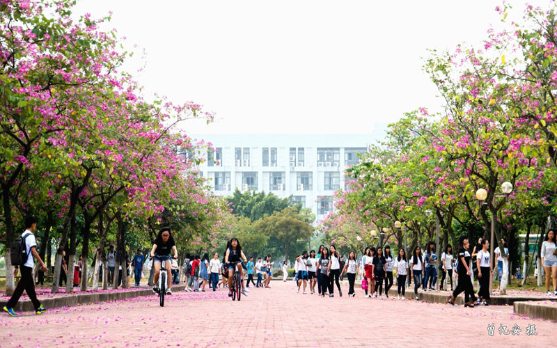 学院风景