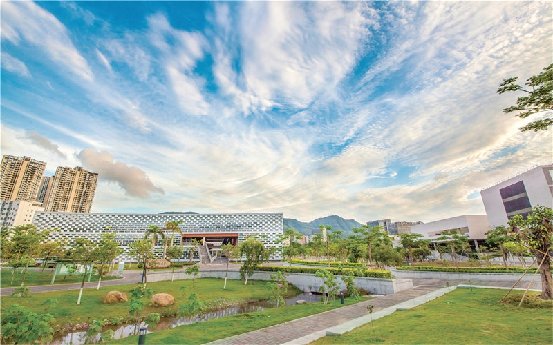 南方科技大学首页