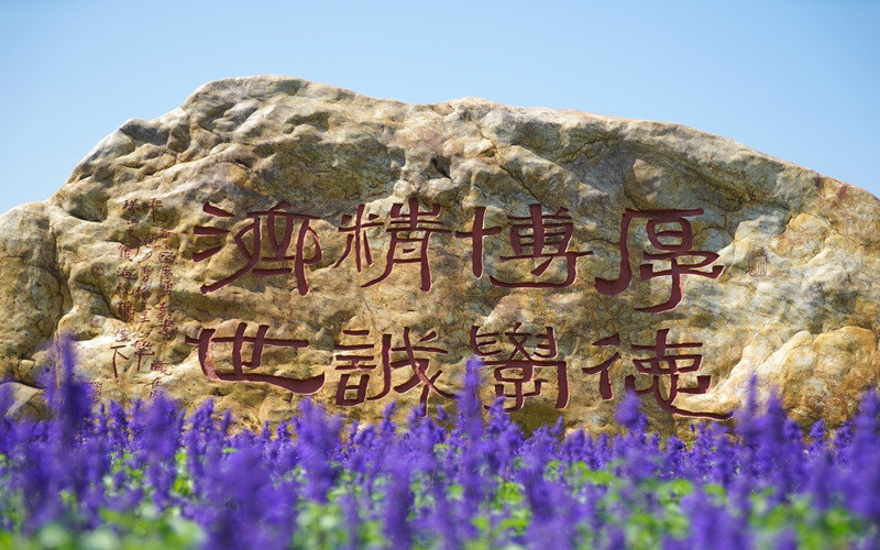 校园景观石