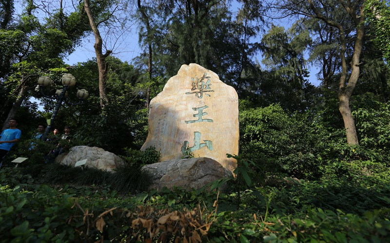 景观石