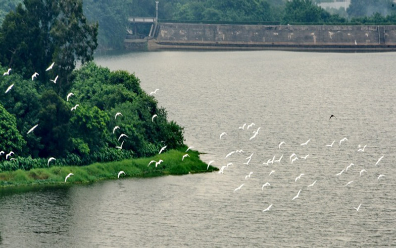校园风景