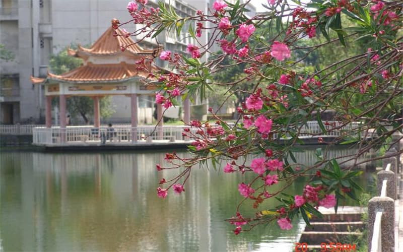水上校园