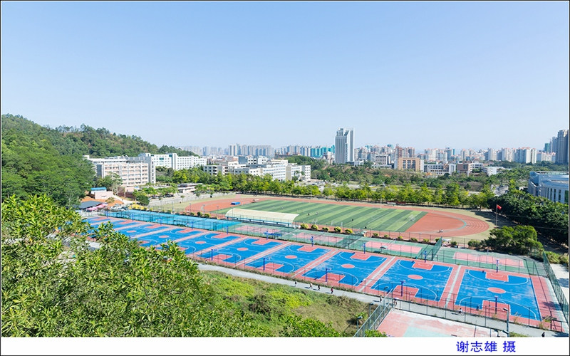 运动场