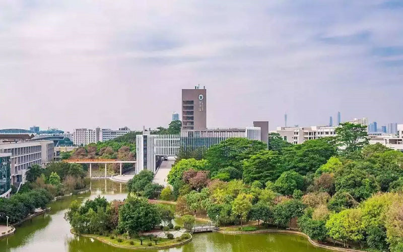 校园景色