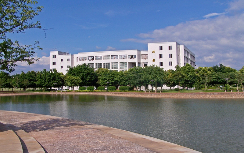 校园池塘