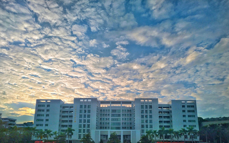 学院风景