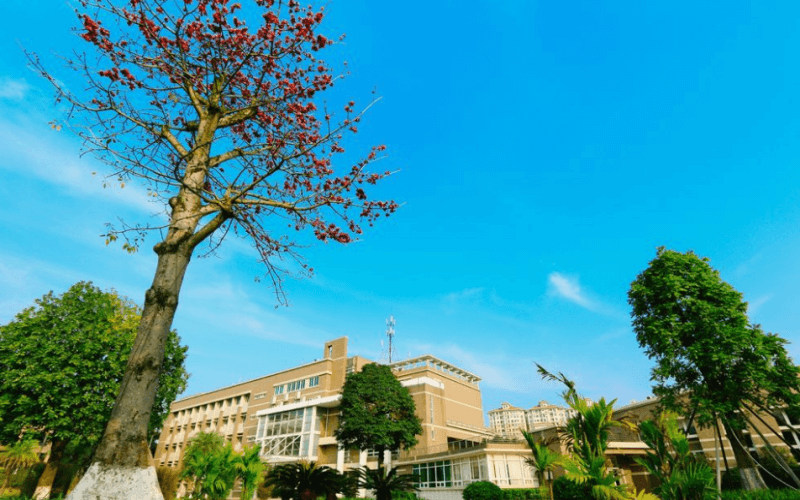 学院风光