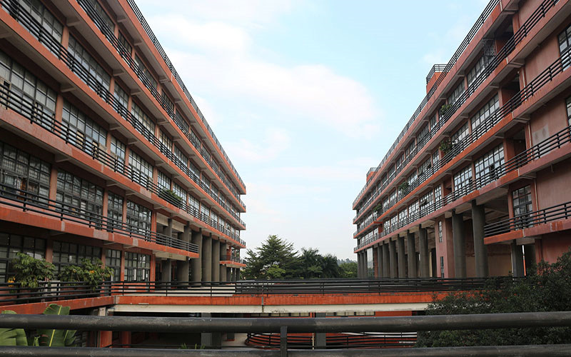 校园景色