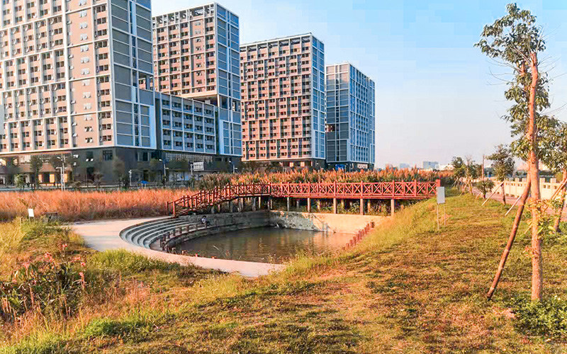 校园秋景
