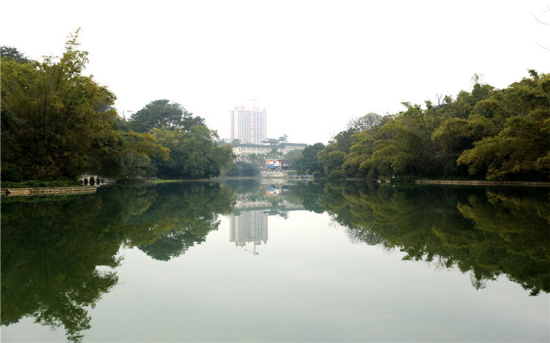 校园池塘