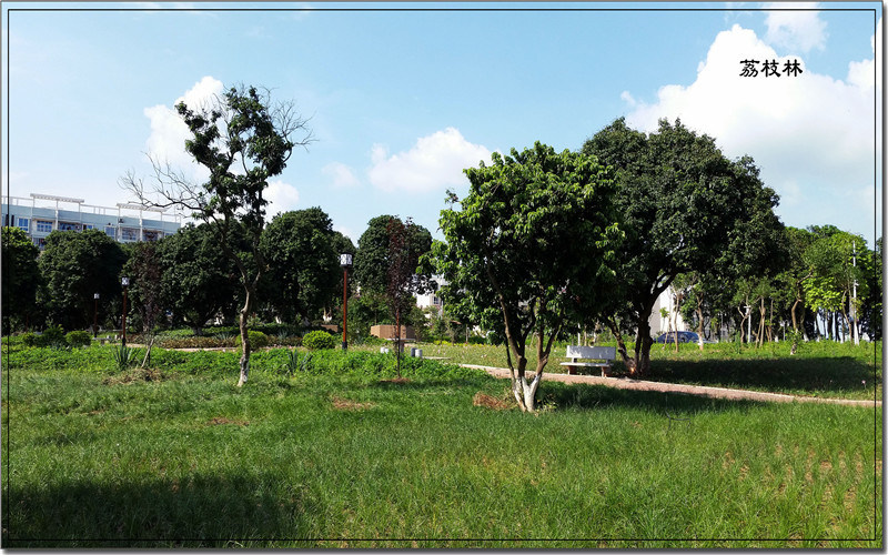 学院美景