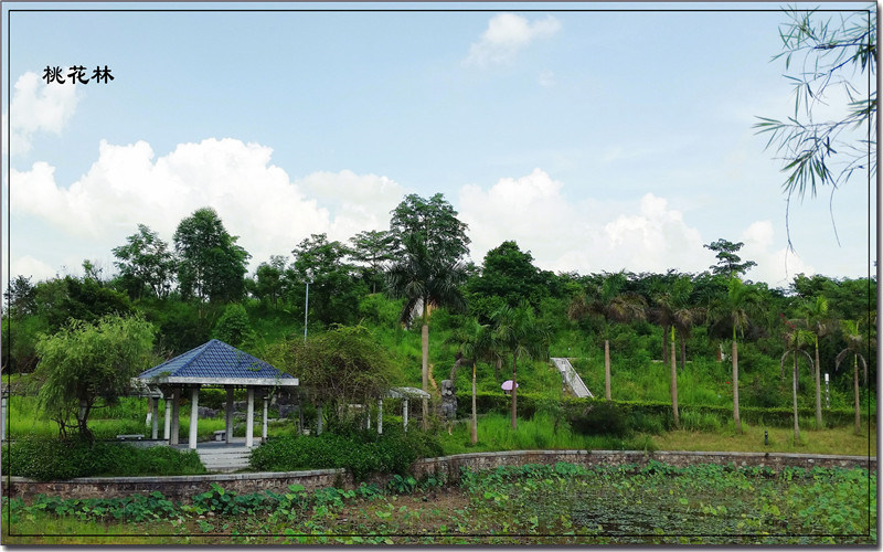 学院景观