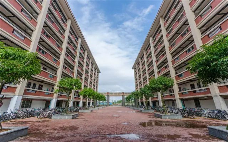 校园景色