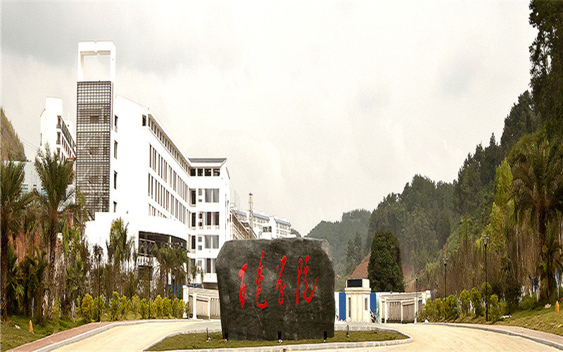 景观石
