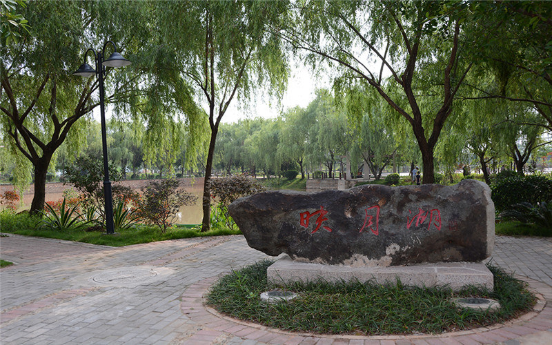 学院景观石
