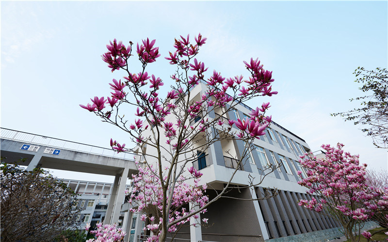学院风光