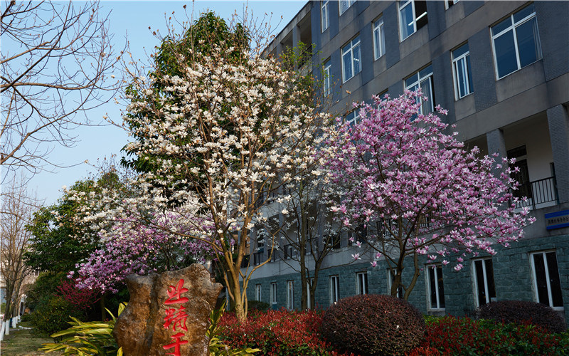 学院景色