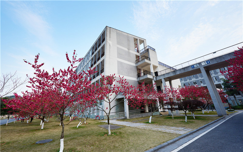 学院风景