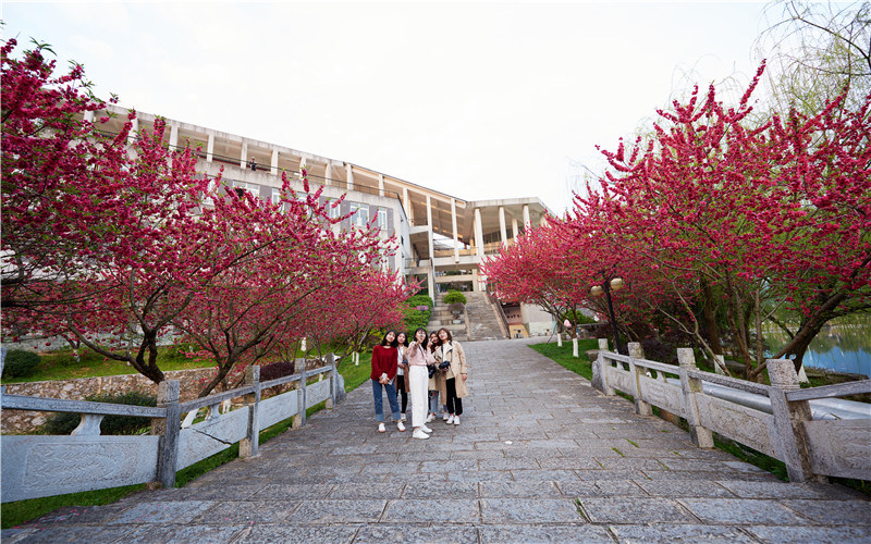 桂林信息科技学院首页