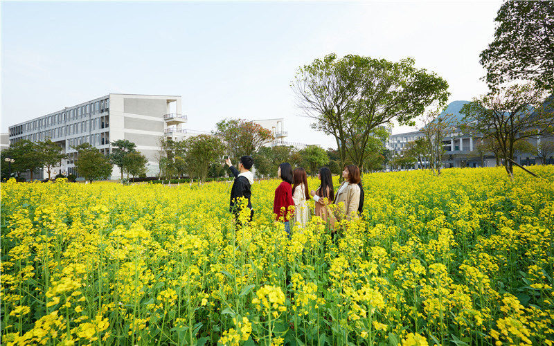 学院美景
