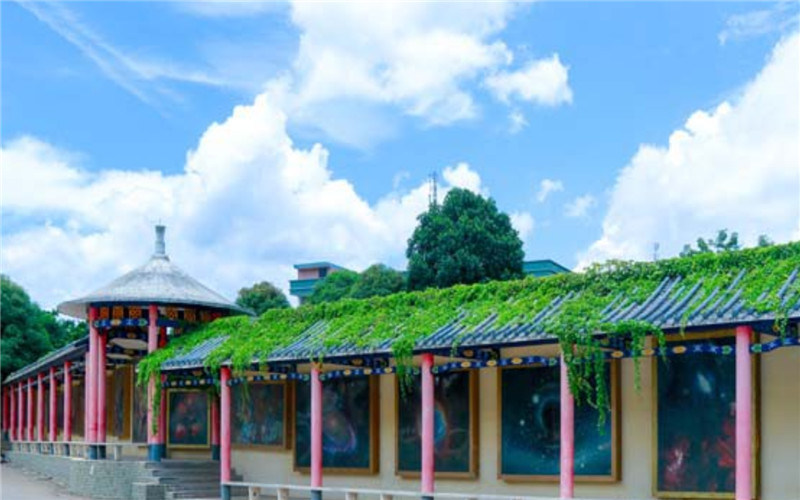 校园景色