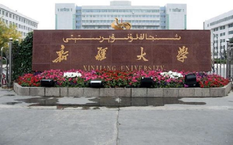 新疆大学首页