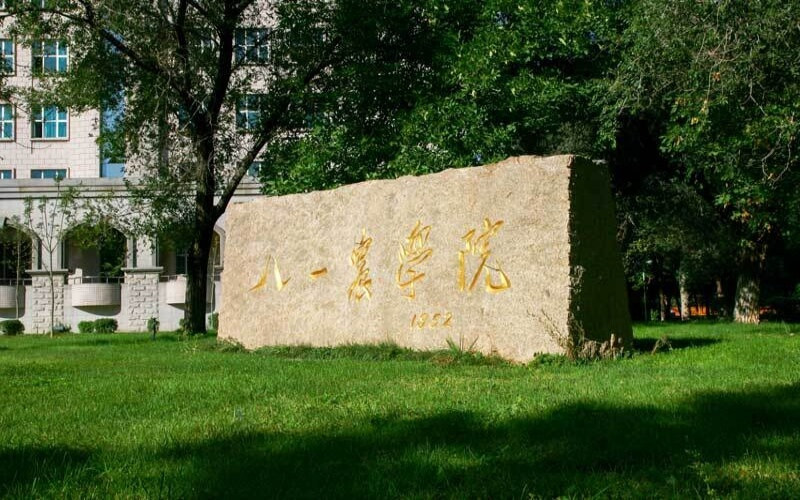 景观石