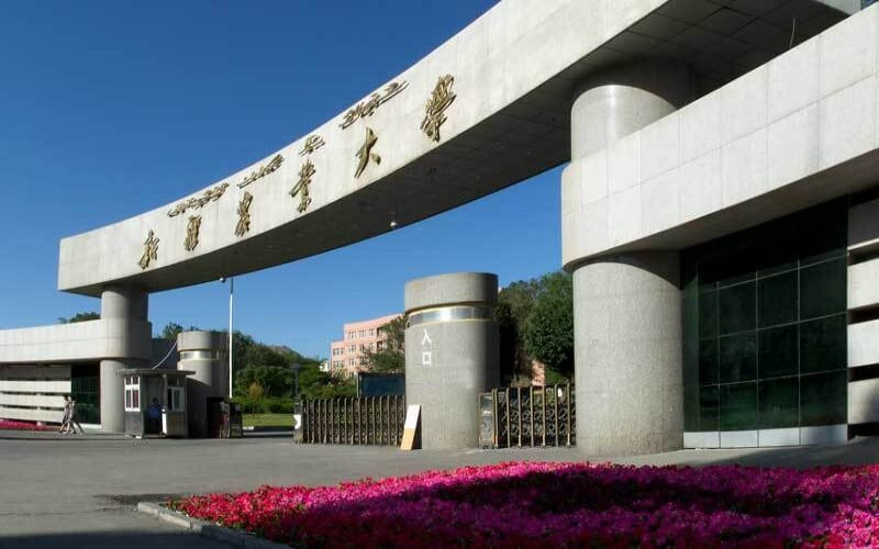 校园门口