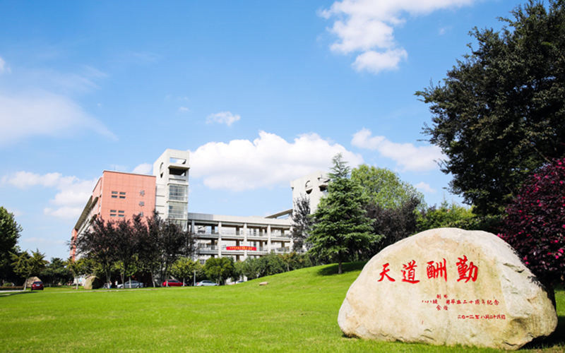 景观石