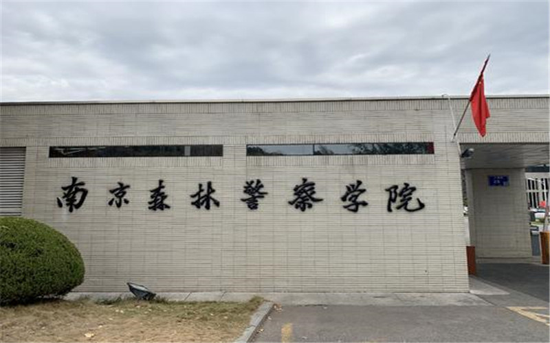 校园一角