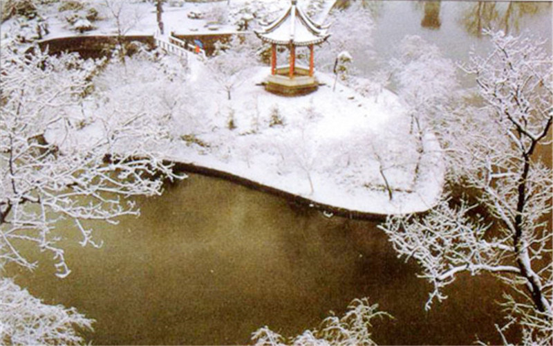银色校园