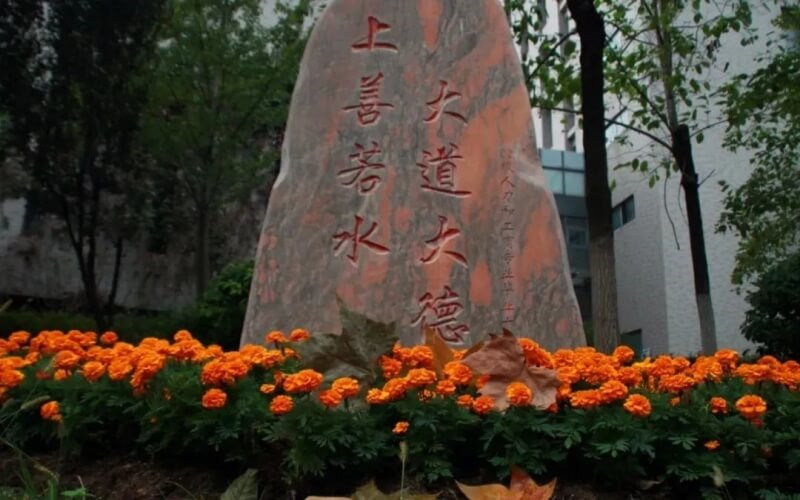 景观石