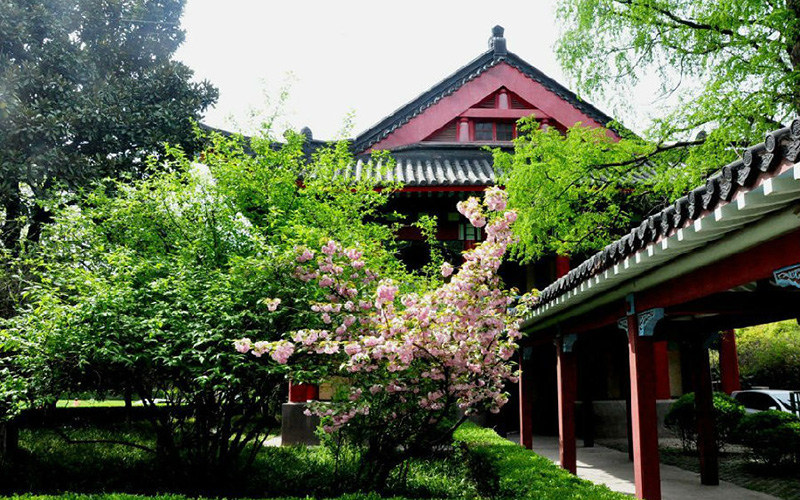 风景照片