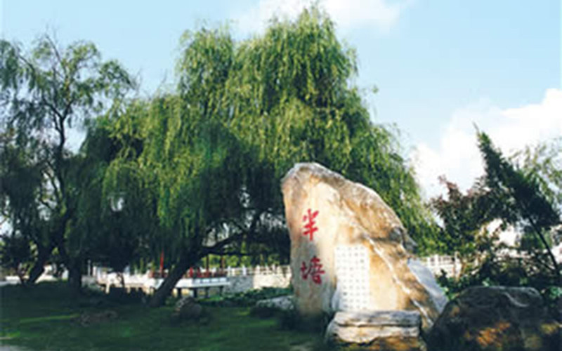 景观石