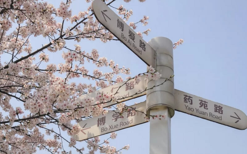 指路牌