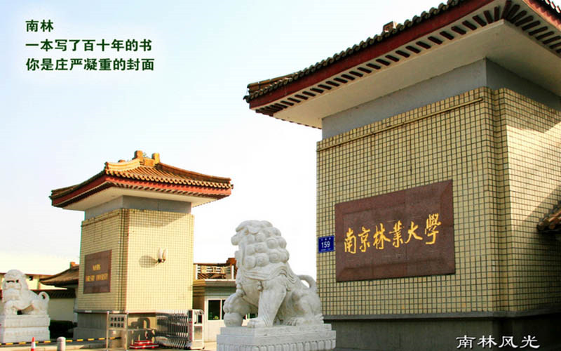 南京林业大学首页