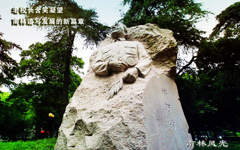 景观石