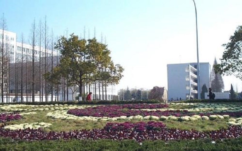 校园风景