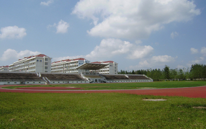 运动场