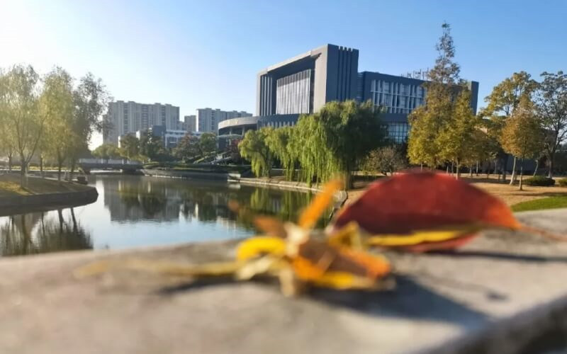 学院景观