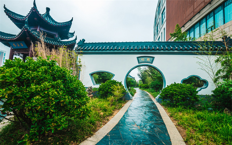 林荫小道