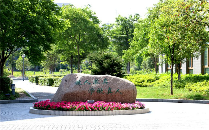 景观石