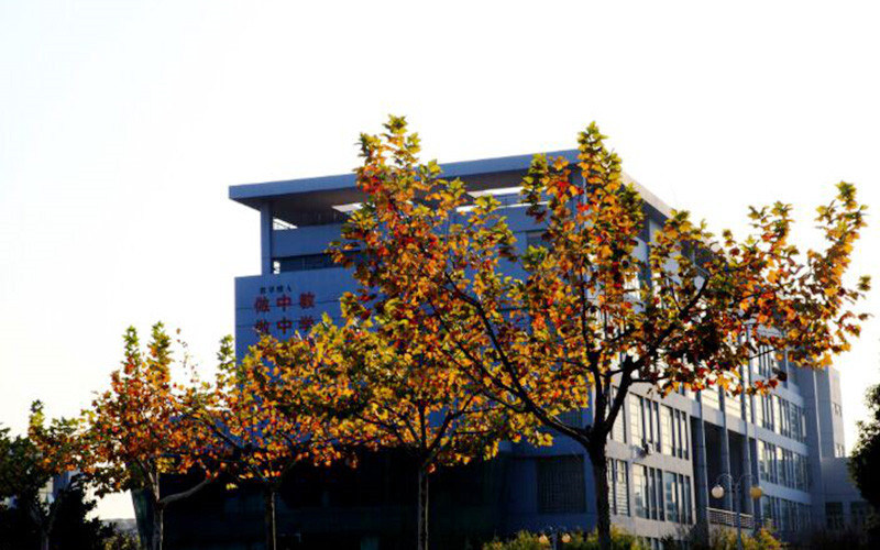学院景观