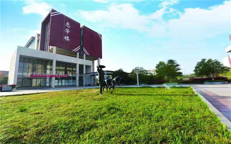 校园绿化
