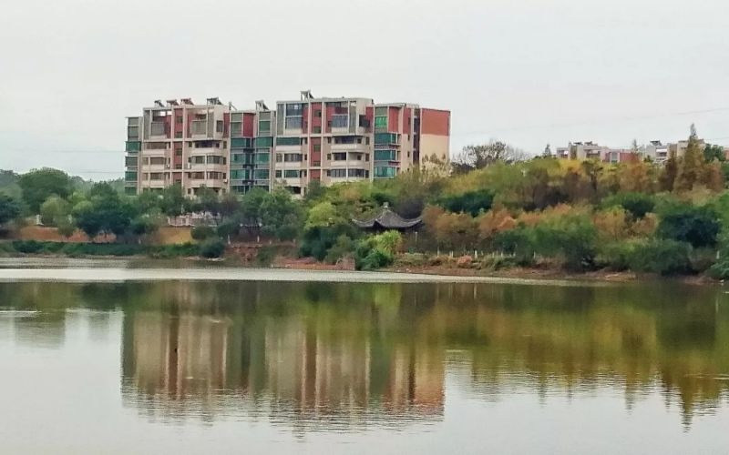 水上校园