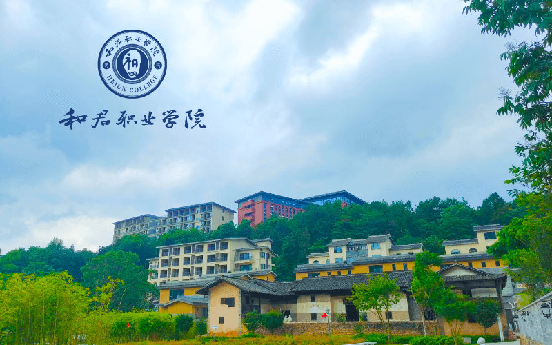和君职业学院首页
