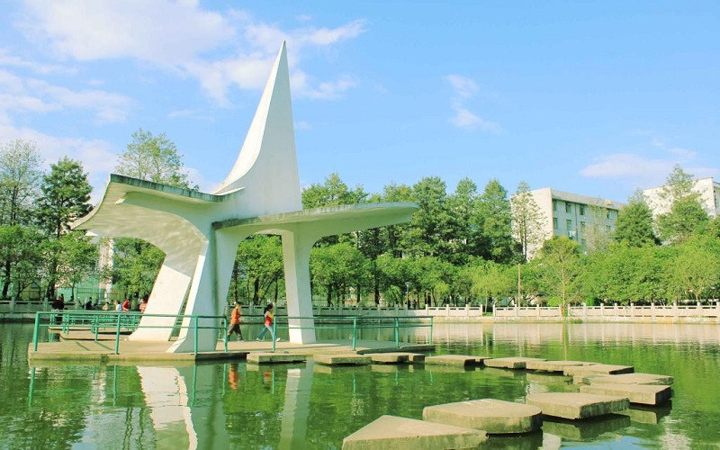 校园池塘